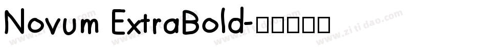 Novum ExtraBold字体转换